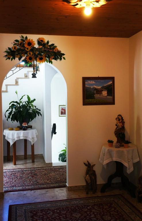 Roasnerhof Apartment Finkenberg Luaran gambar